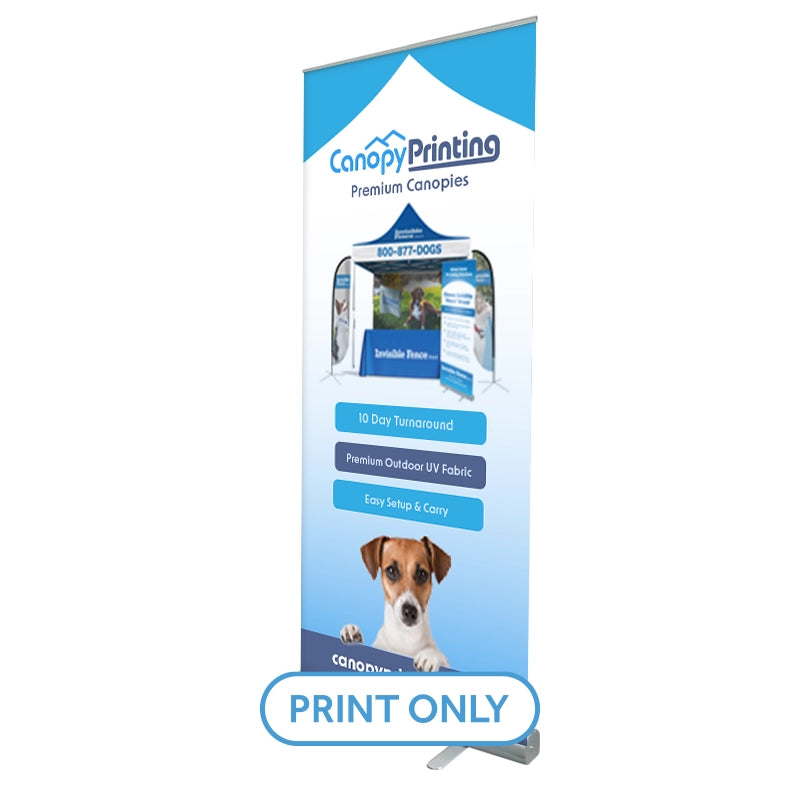 Replacement BSE33 Print (33"x78")